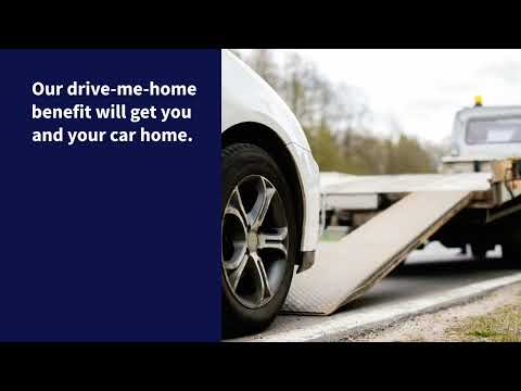 Bidvest Insurance Driver Assist - Drive-me-home service